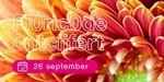 Floricode ontcijfert "het programma"